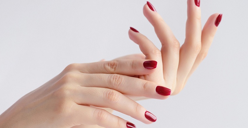 Can Nails Regenerate