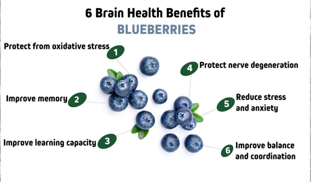 The Many Benefits of Blueberries