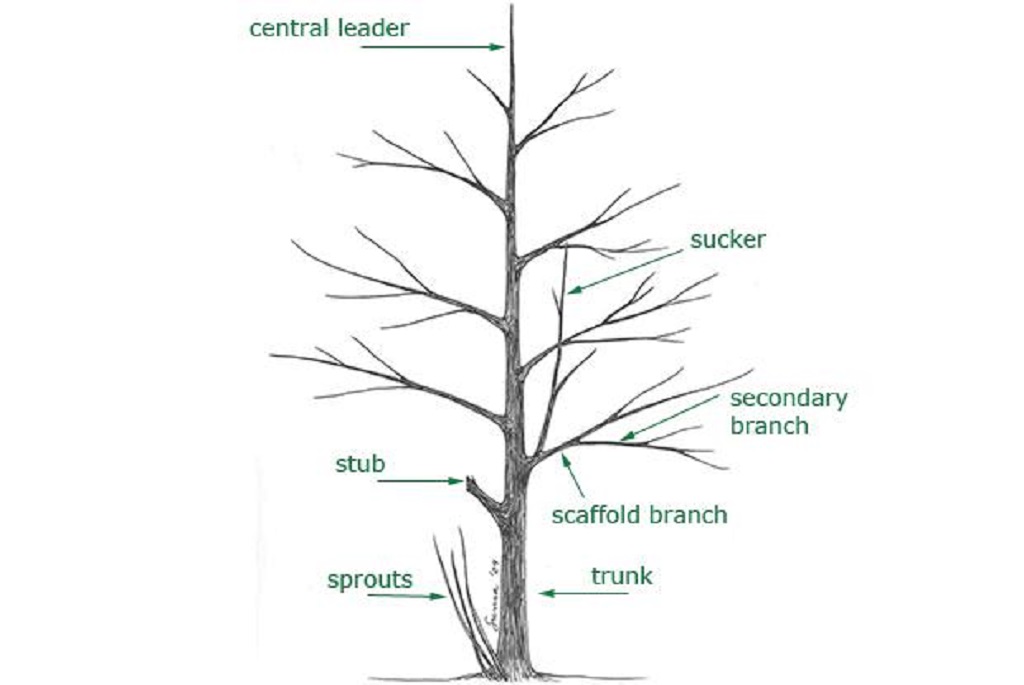Choosing The Right Tools