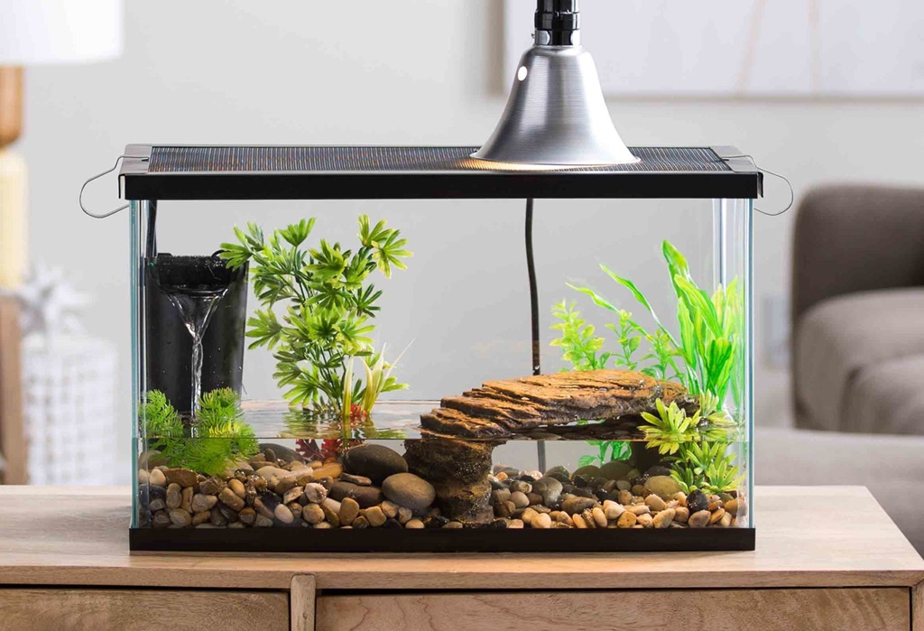 How do you clean fish poop off rocks?